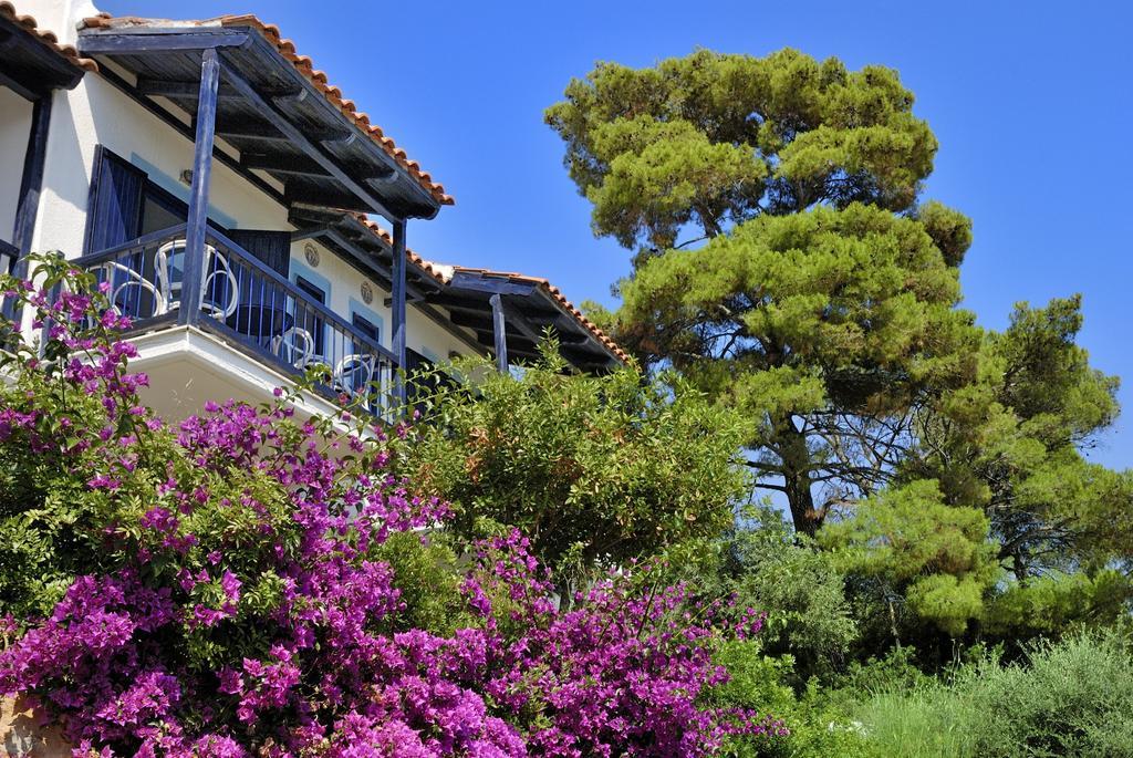 Adrina Beach Hotel Panormos  Экстерьер фото